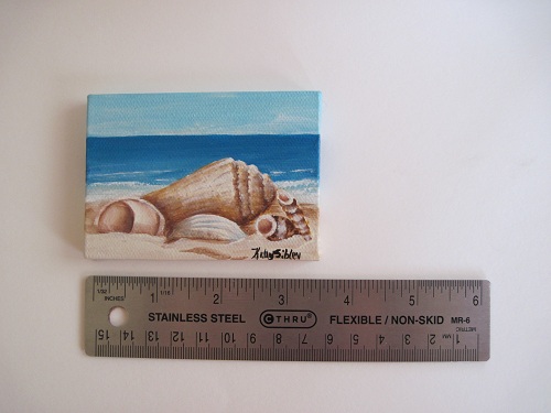New painting of shells with ruler to show size.